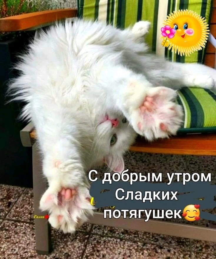 Доброго утра!.