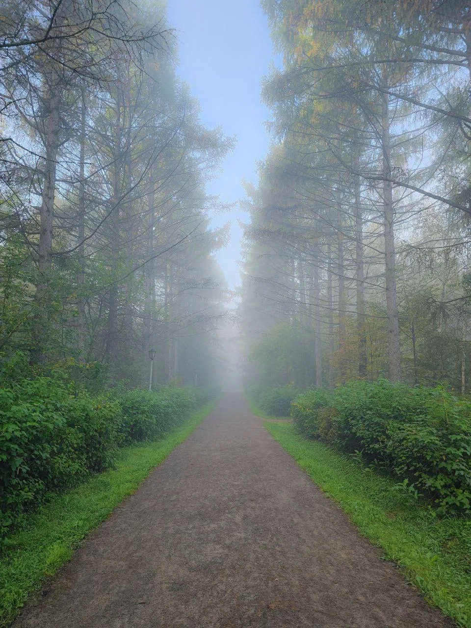 😍 Невероятно атмосферный дендропарк на Жуковского