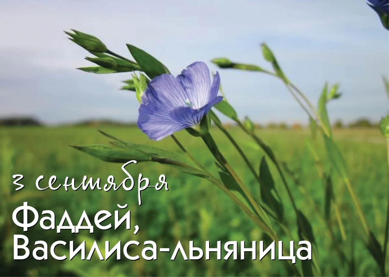 Народный календарь