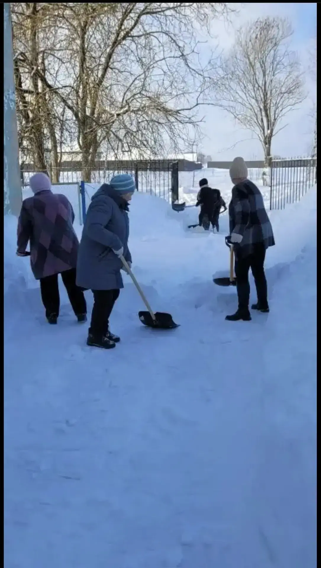 Сотрудники нашей школы приняли активное участие в субботнике, направив свои усилия на расчистку терр