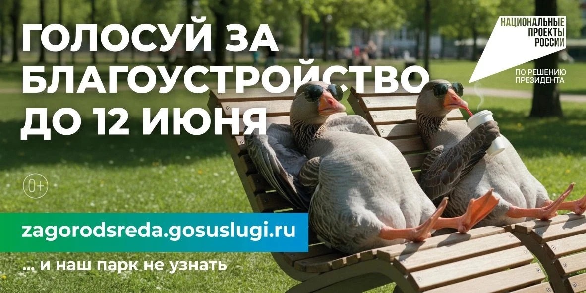🌳 Благоустройство, которое зависит от нас: Ваш голос – наше будущее!
