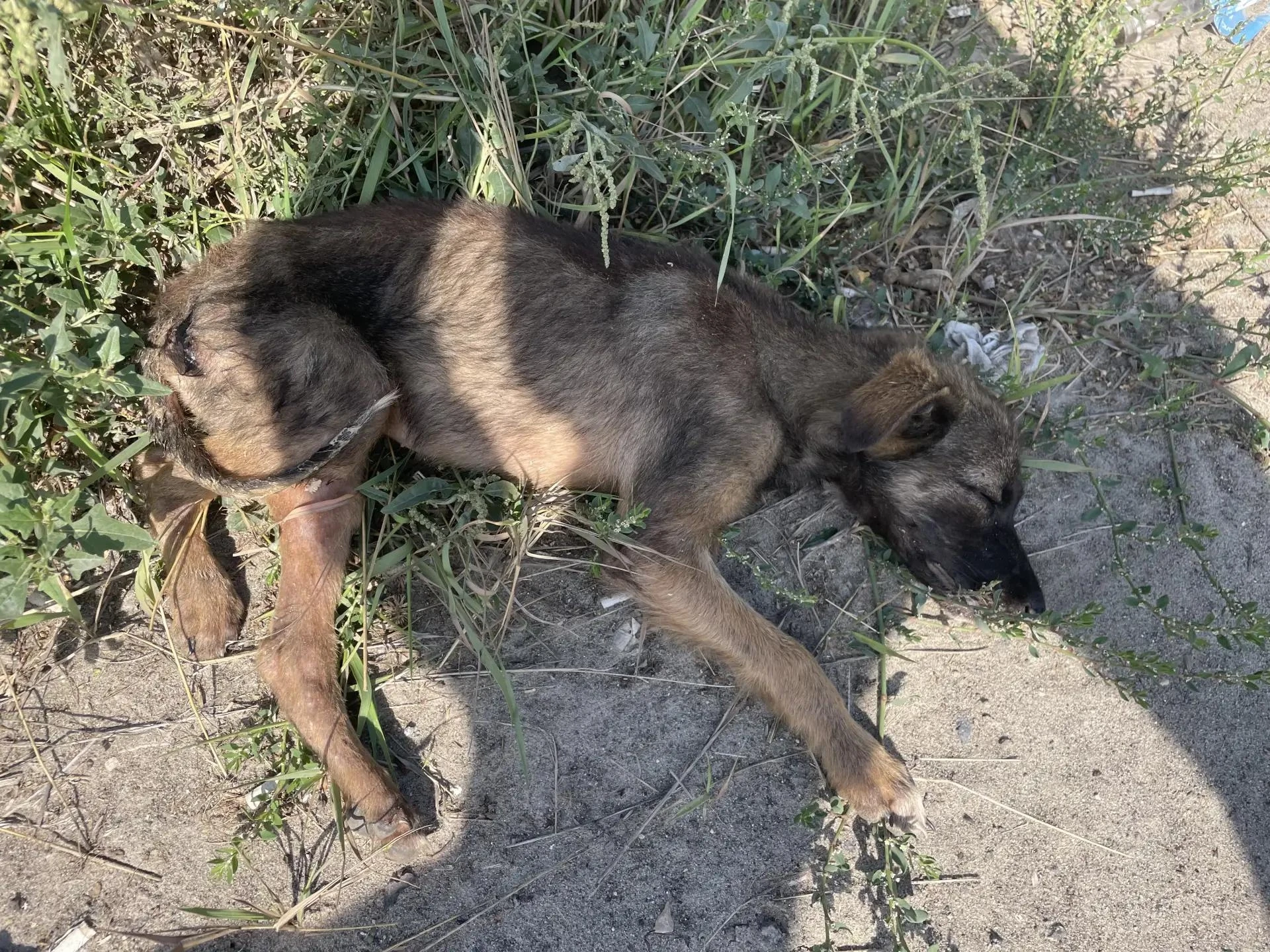 Всем доброго утра)