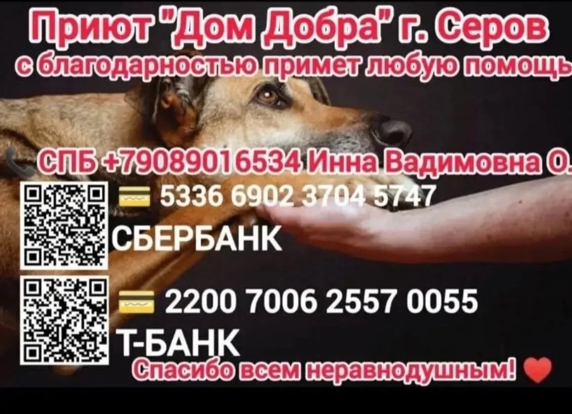 Друзья!!!! Обращаюсь к вам всем за помощью 🙏
