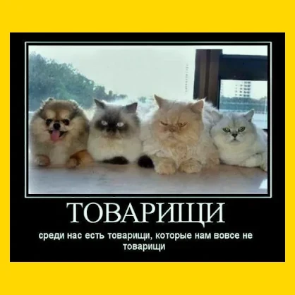 Полный Хохотамбл! Подпишись скорее