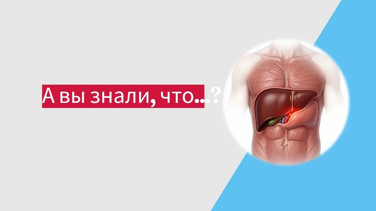 💪 А вы знали, что ваша печень может отрасти заново, даже если от неё осталось 25%?

Это единственны
