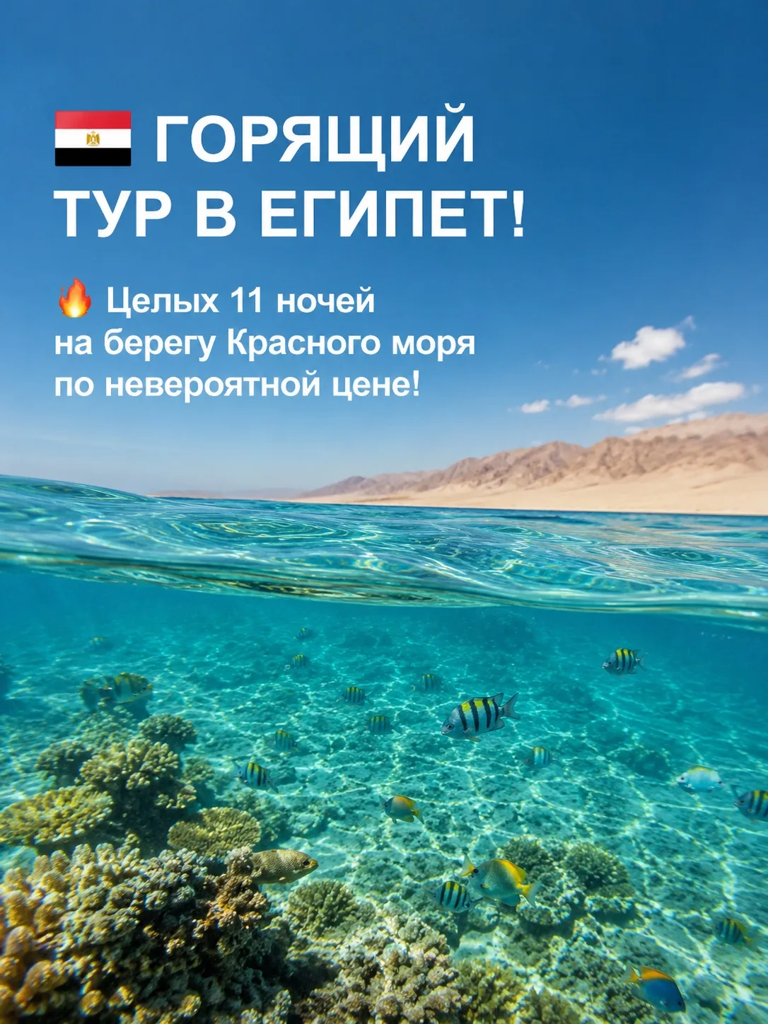 🇪🇬 ГОРЯЩИЙ ТУР В ЕГИПЕТ!

🔥 Целых 11 ночей на берегу Красного моря по невероятной цене!

🏨 Отели