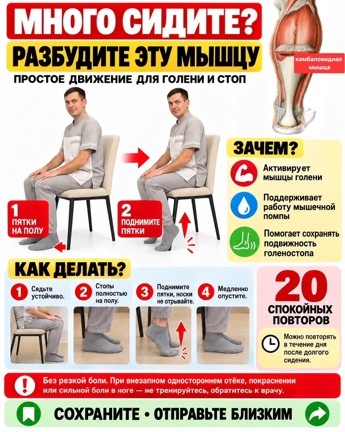 🦵 Делайте каждый день