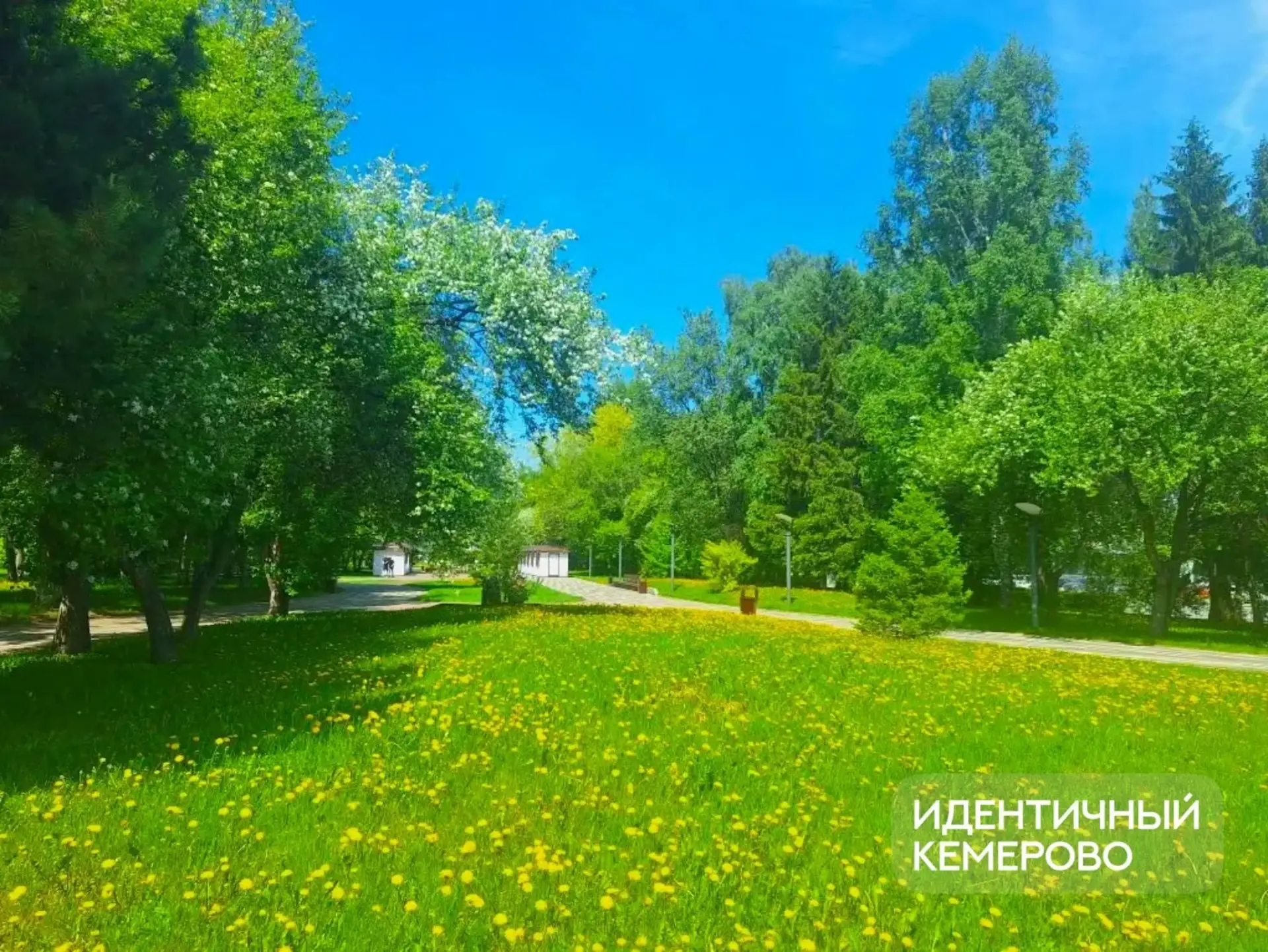 В городе лето ☀️

Атмосфера бульвара Строителей👉🏻

❤️ - лето - прекрасная пора 

Фото: Идентичный 