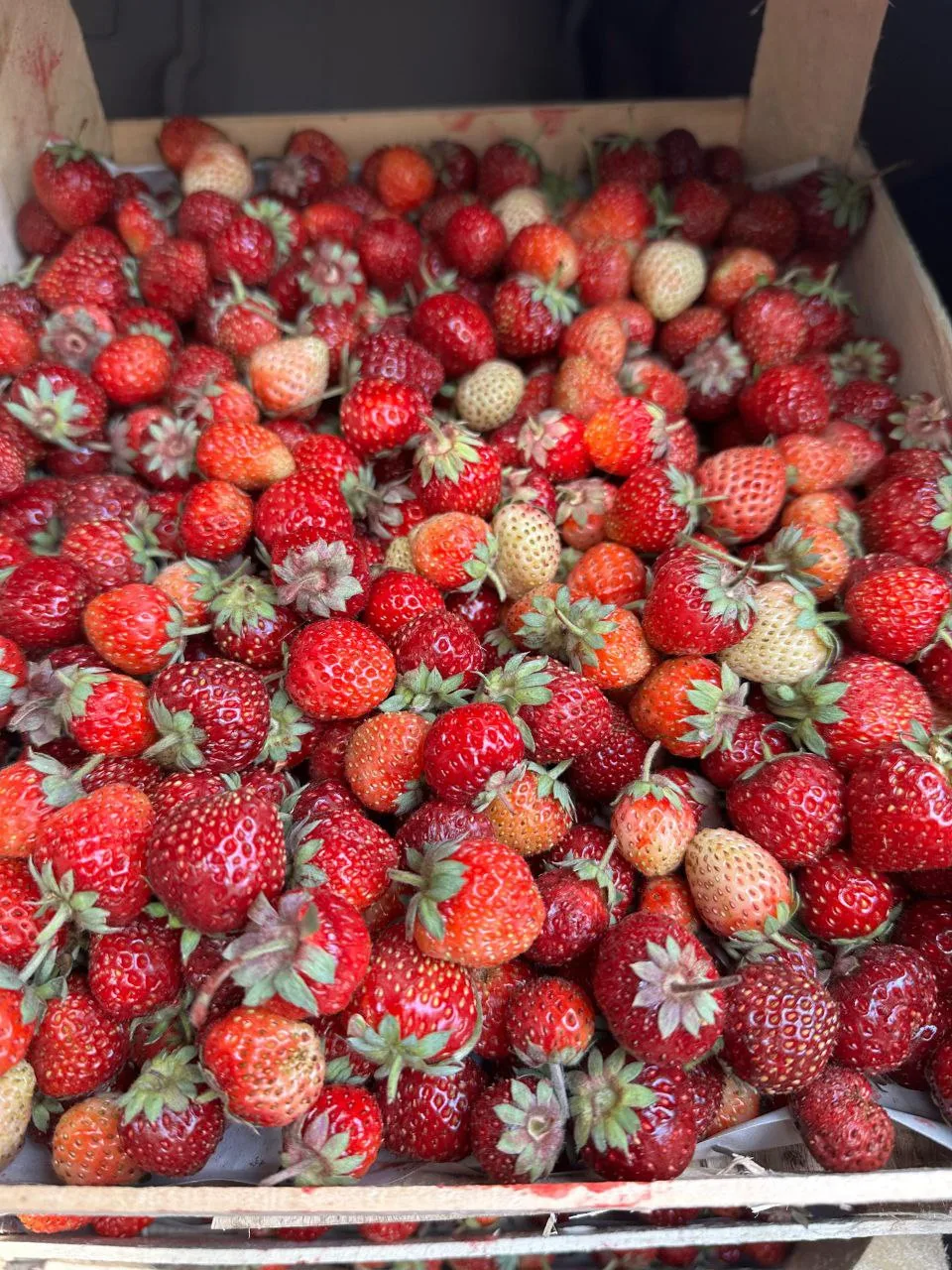 Мы уже на выдаче! Сегодня до 18.00 ждём всех за заказами 🍓