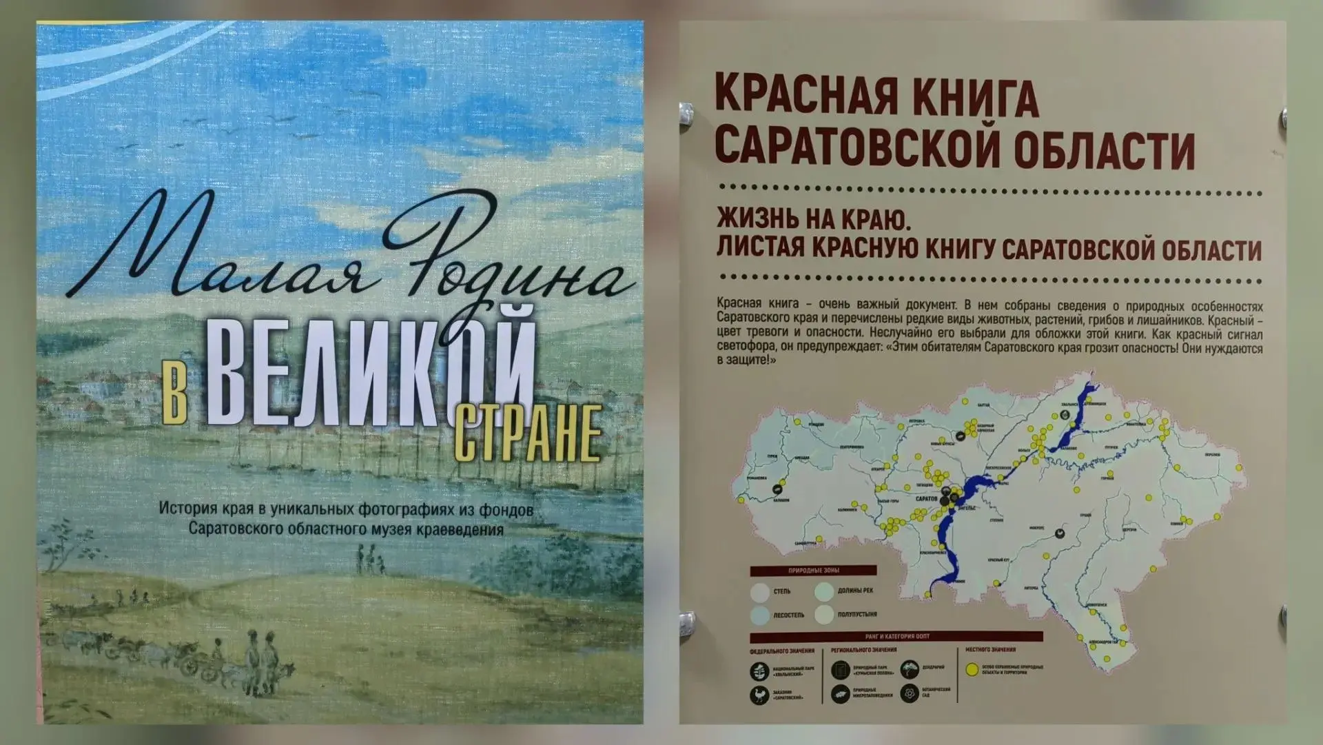 Две книжные выставки в Степном: природа и история края
