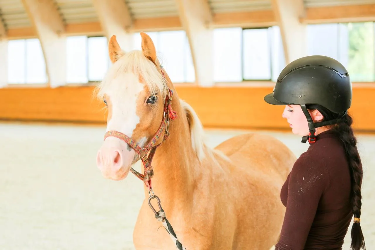 🐴 Новые звезды в «Кентавре»

В конноспортивной школе Татнефти пополнение! Четыре перспективных пони