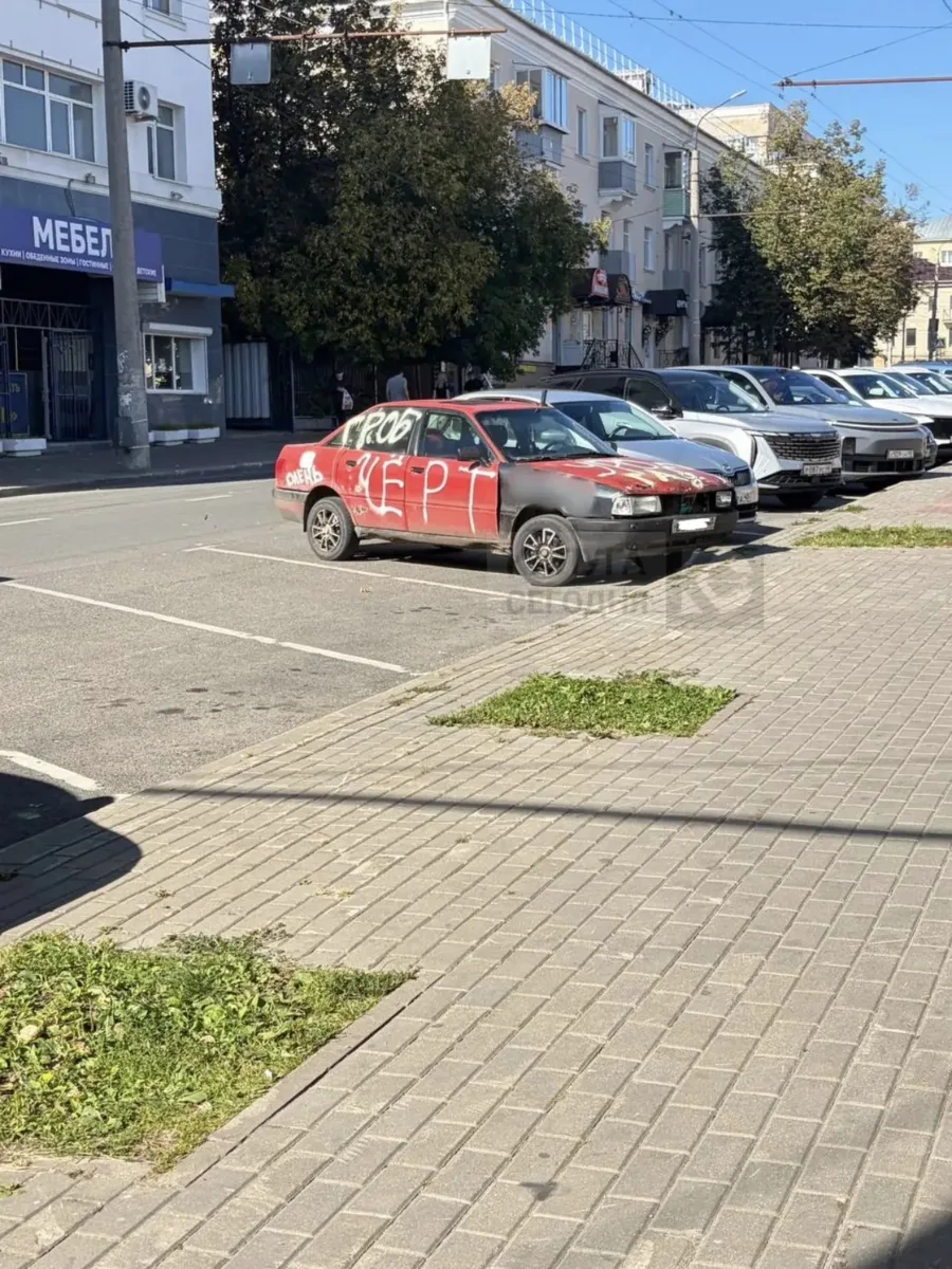 Новый тренд или реальная месть изменщикам? На улицах Калуги всё чаще стали появляться м...