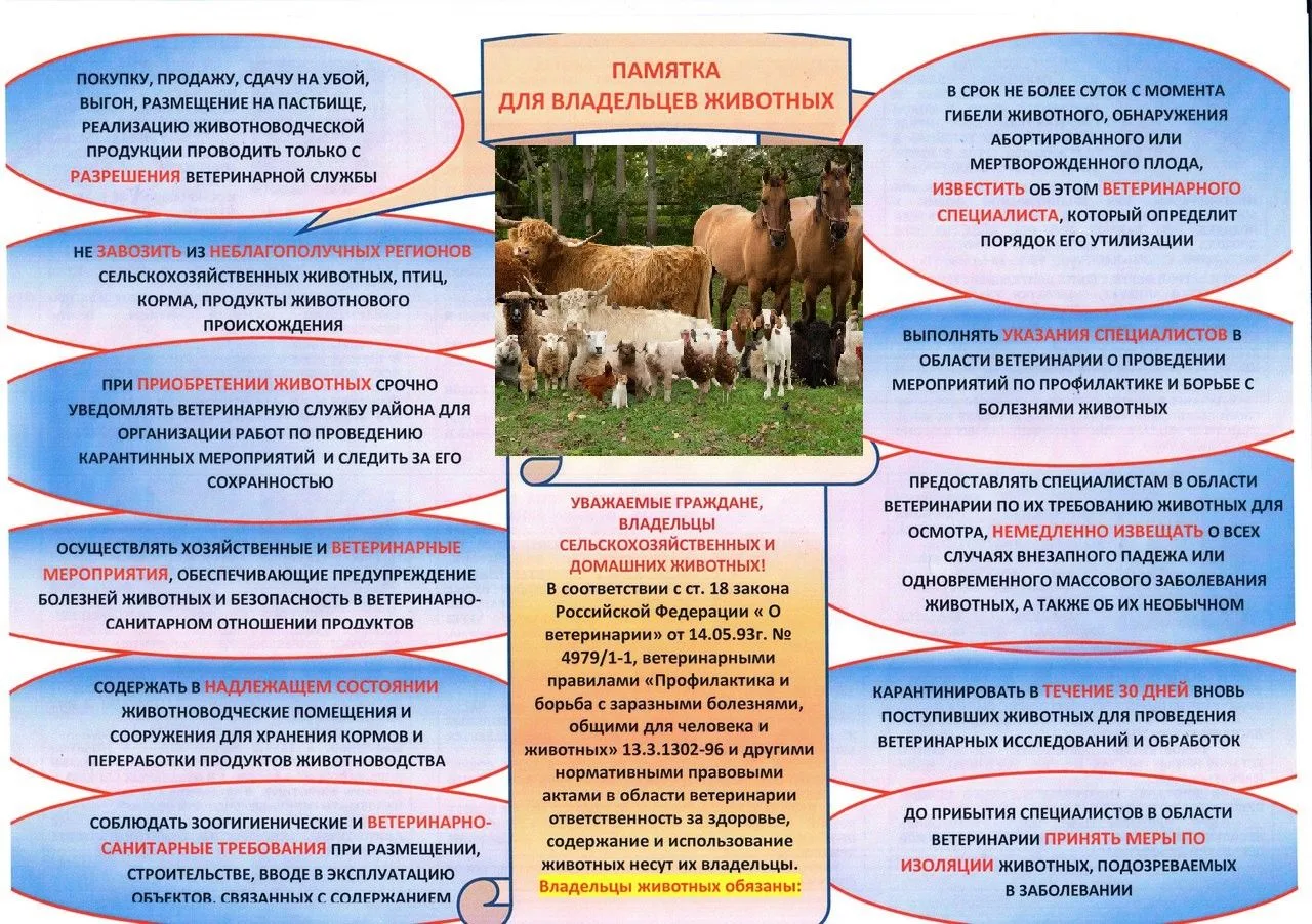 Памятка для владельцев сельскохозяйственных животных об ответственности за выпас и прогон сельскохоз