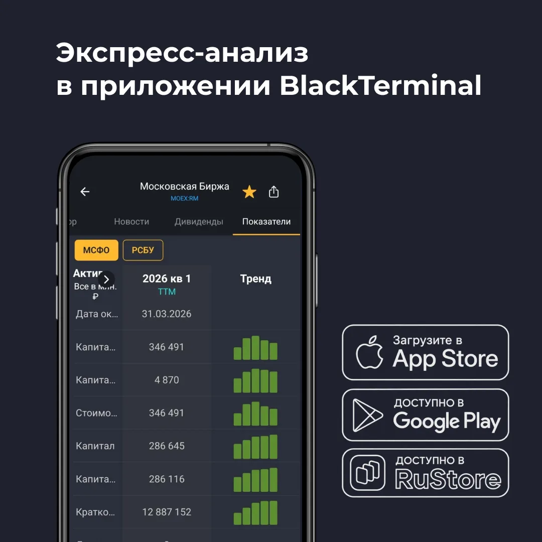 ⚡️ Как быстро оценить компанию в приложении BlackTerminal