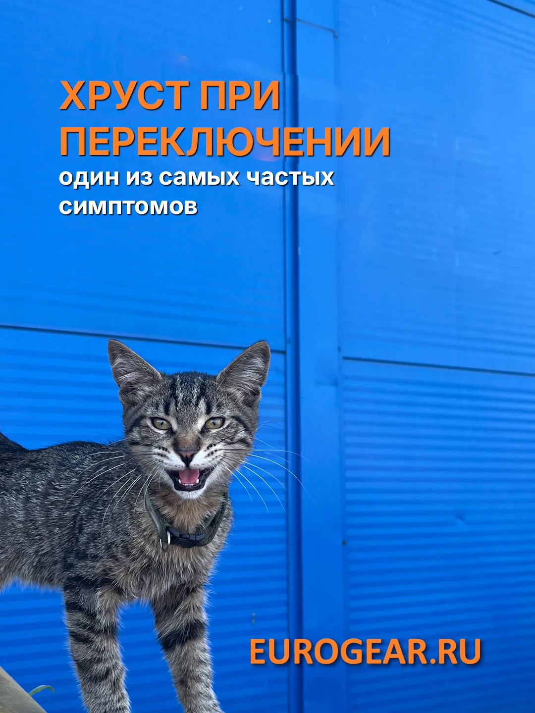 🛠️ Один из самых частых симптомов, с которым к нам привозят коробки — хруст при перекл...