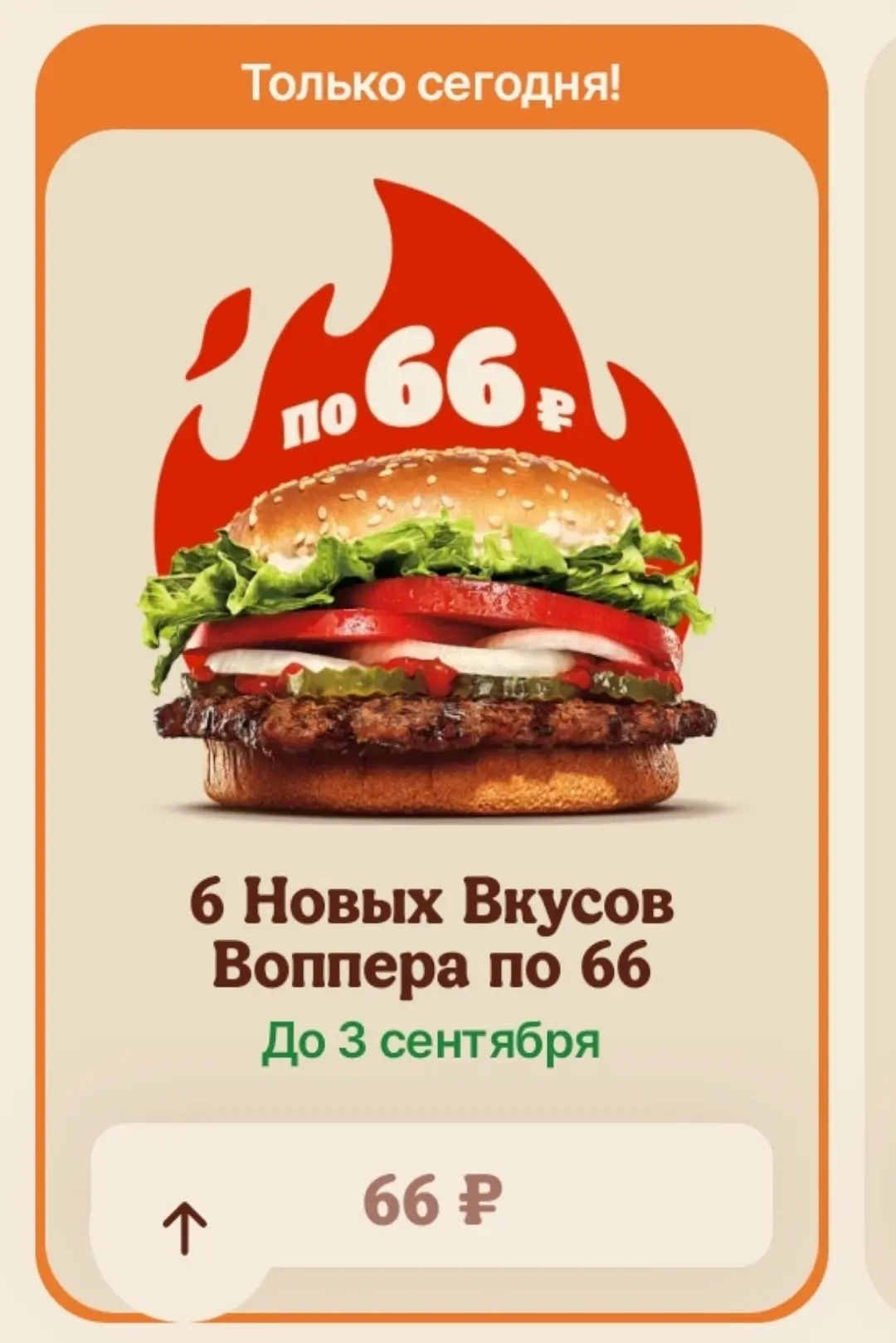 Burger King 🍔