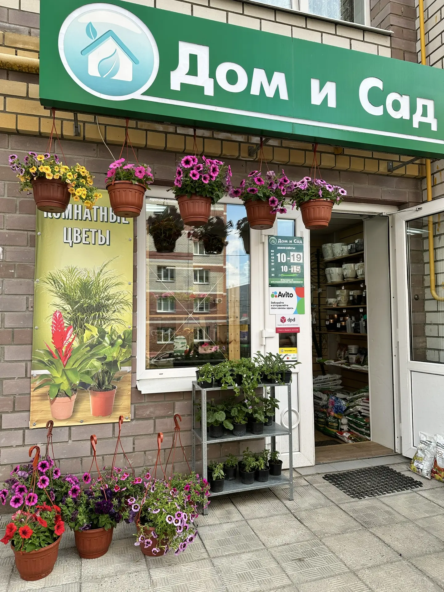 В продаже рассада цветов.