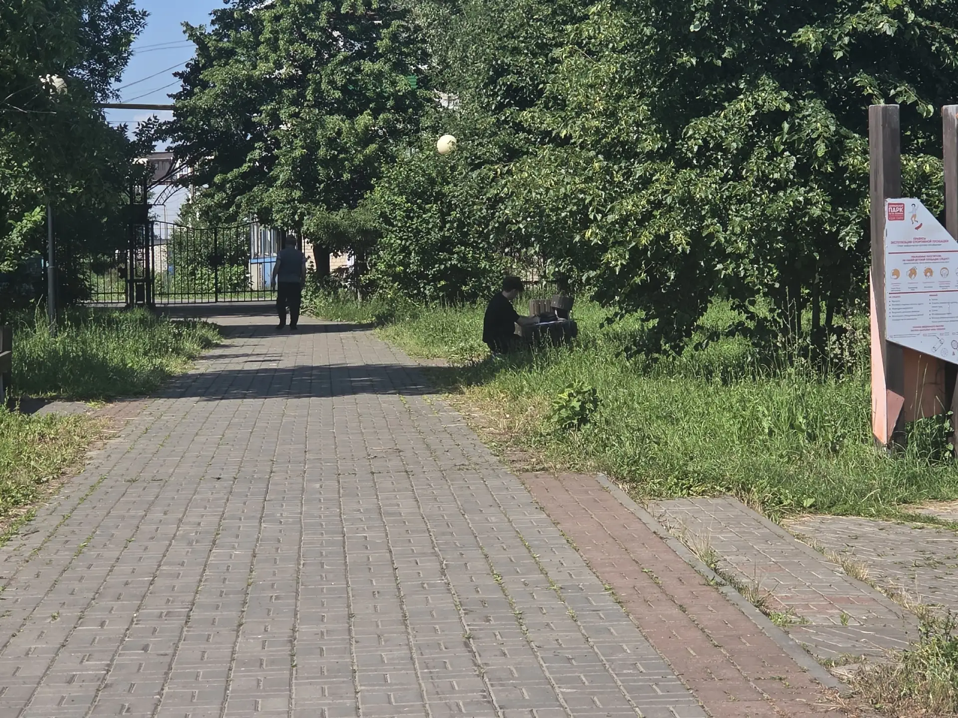 ️Сегодня самый длинный день в году — день летнего солнцестояния 

Продолжительность светового дня со