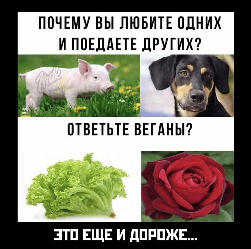 🥩 Есть мясо дешевле, чем зожничать овощами 

Рацион с мясом, рыбой и молочными продуктами обходится