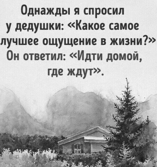 Даже если ждут только кошки и собаки... 🐾