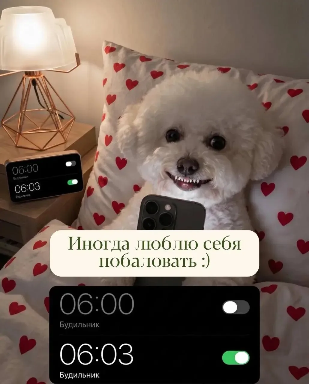 Подарки по утрам обычно выглядят так 😴