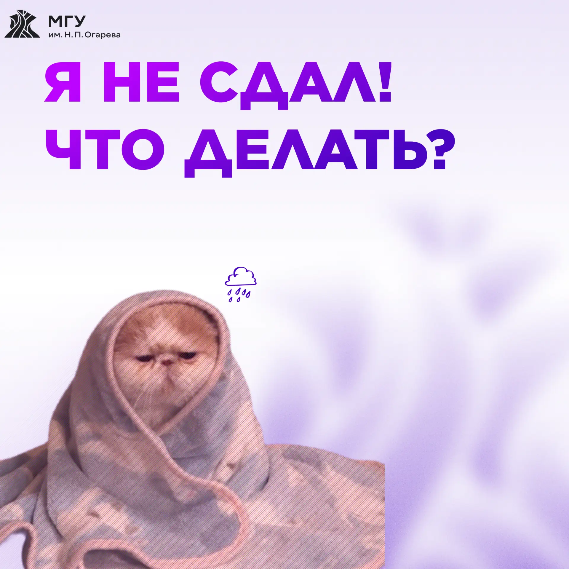 Я не сдал! Что делать? ⚡️