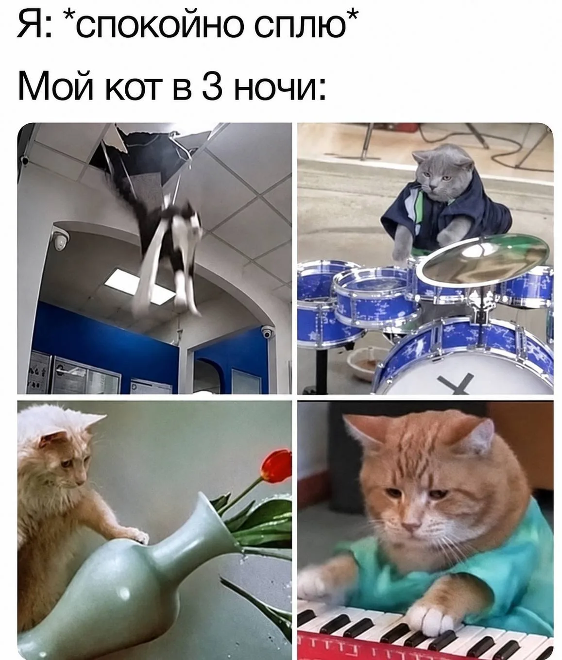 @memachh