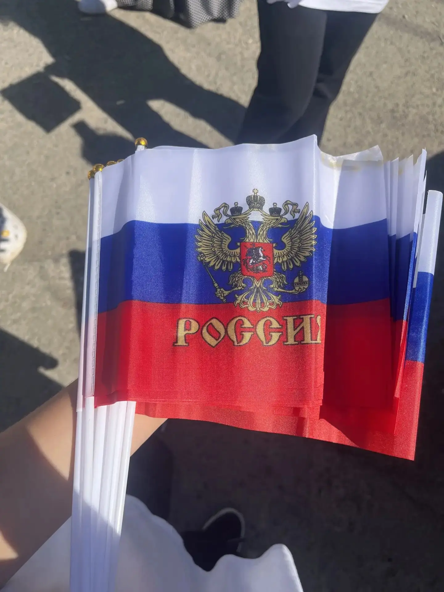 🇷🇺 Три цвета, одна судьба! С Днём Государственного флага России!