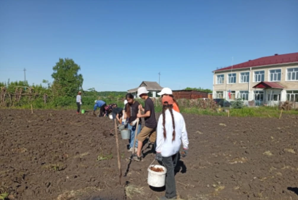 🌱 Трудовой десант в действии! 🌱