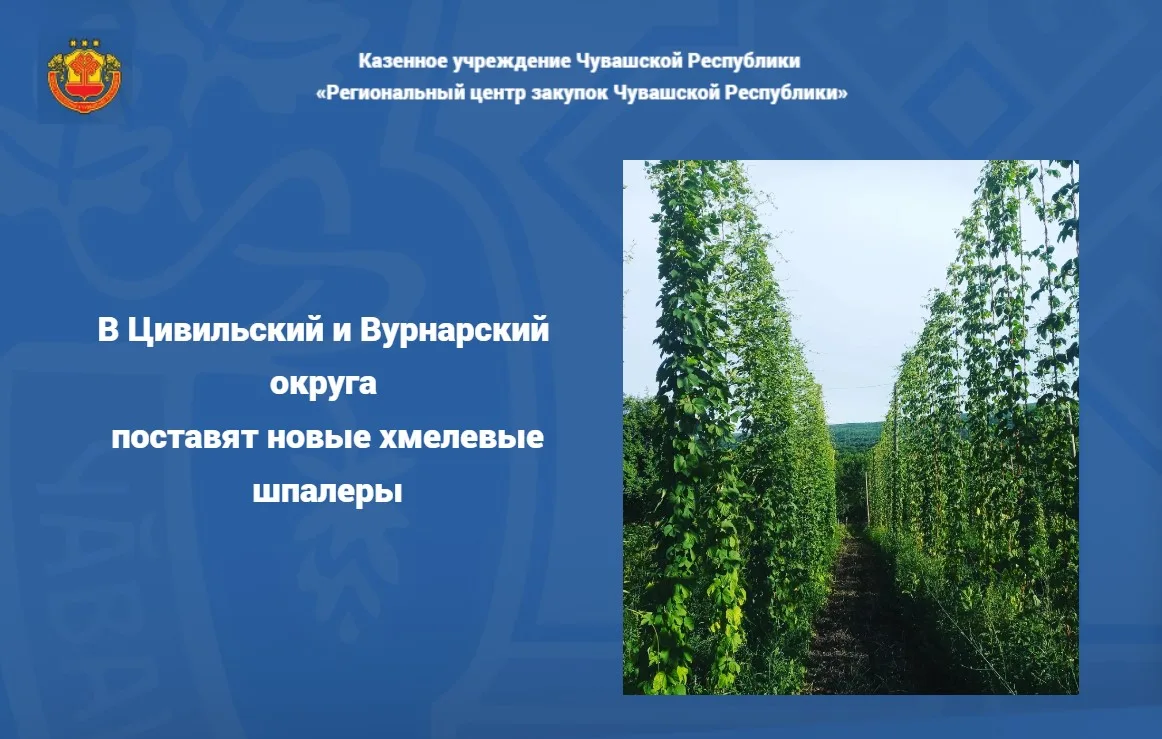 ❓Пойдете на фестиваль «Зеленое золото России»? Открытие в эту субботу, а мы анонсируем ...