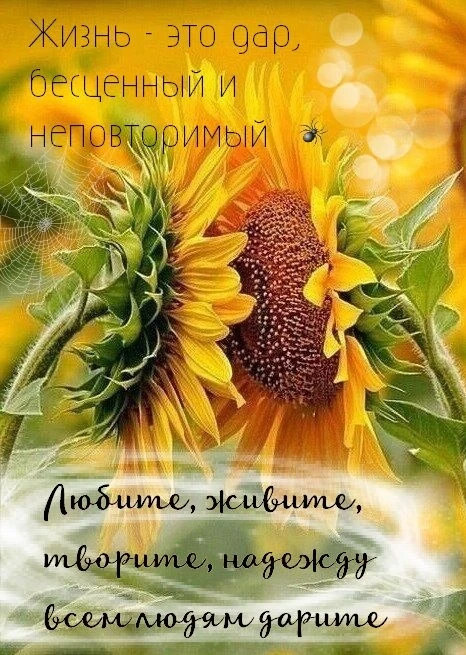 🧡🧡🧡
