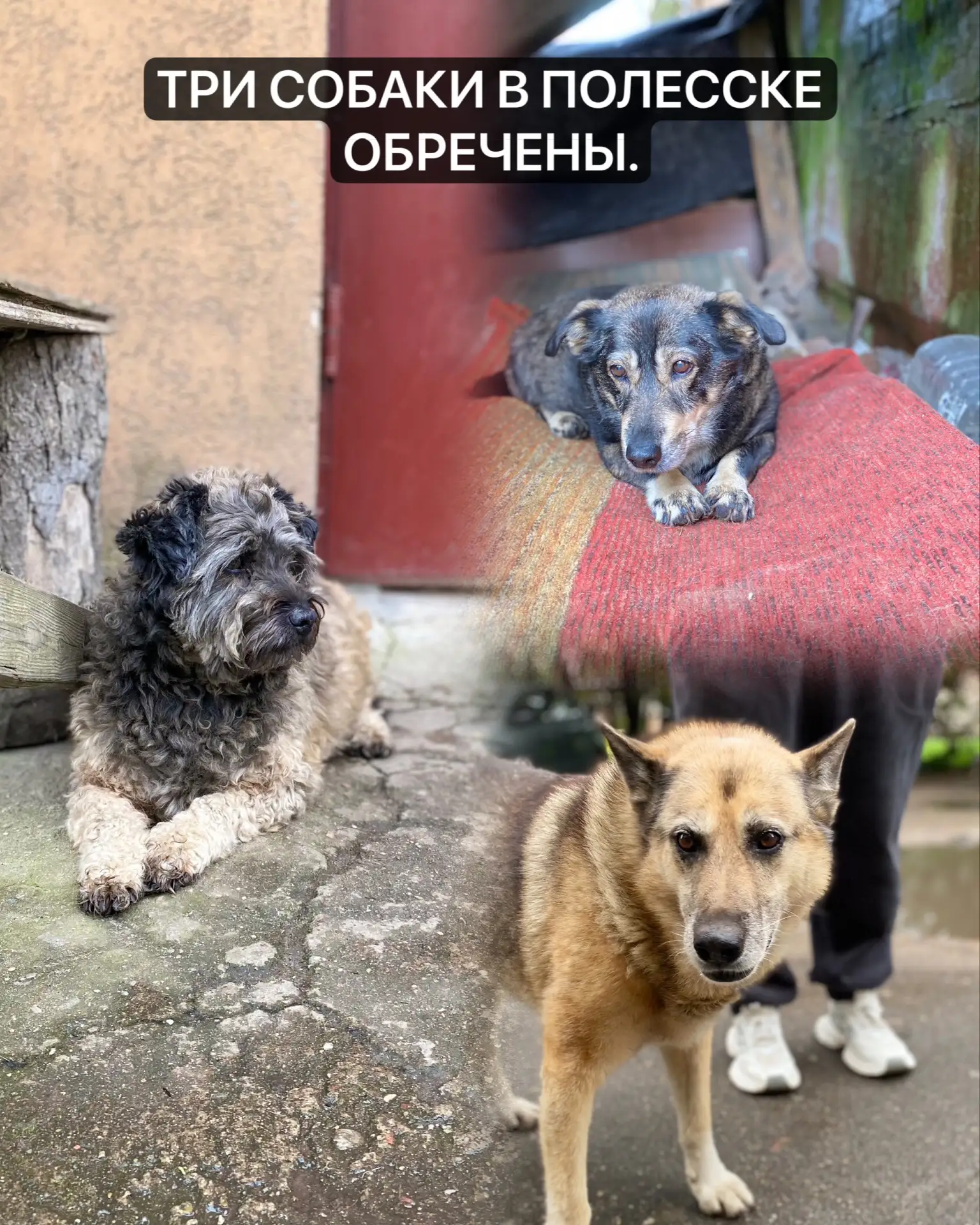 Наследники забрали квартиру, люди отнимают жизнь!