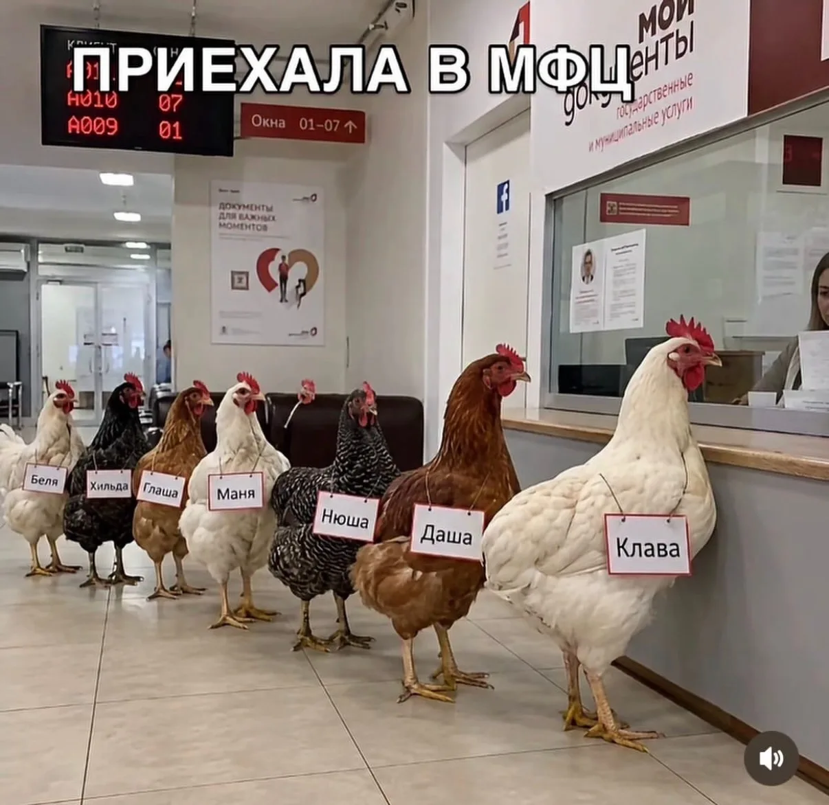 С 1 сентября в России стартовала «маркировка кур» 🐔 — речь идет об обязанности владель...