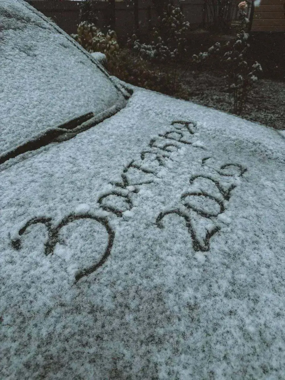 ❄️Зимний вайб случился в Дагестане — регион накрыло октябрьским снегом.