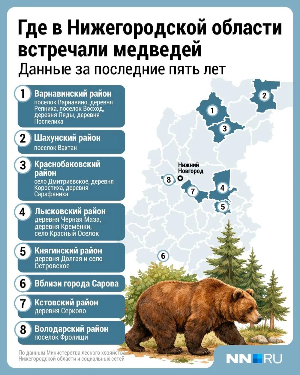 🐻 Только за этот год в Нижегородской области произошло не менее семи столкновений жите...