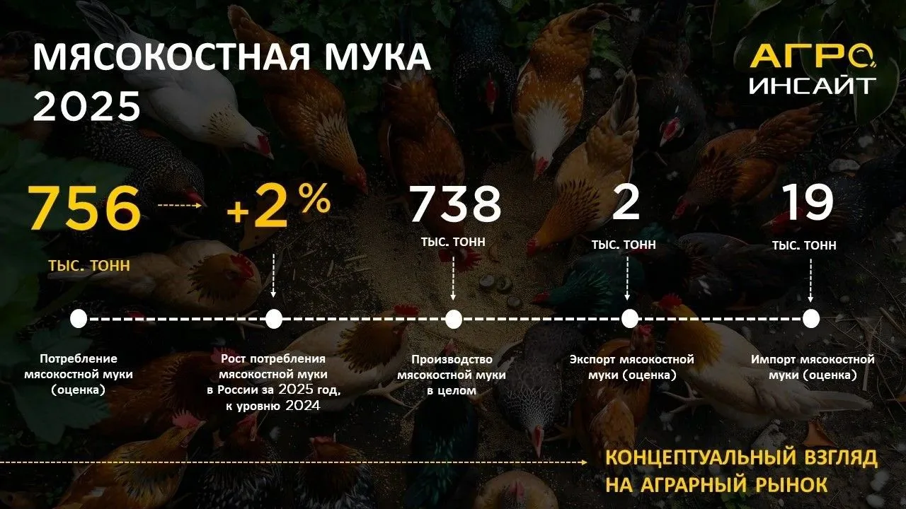 На Дзене новая аналитическая статья Агроинсайт - переходите, подписывайтесь, читайте: М...