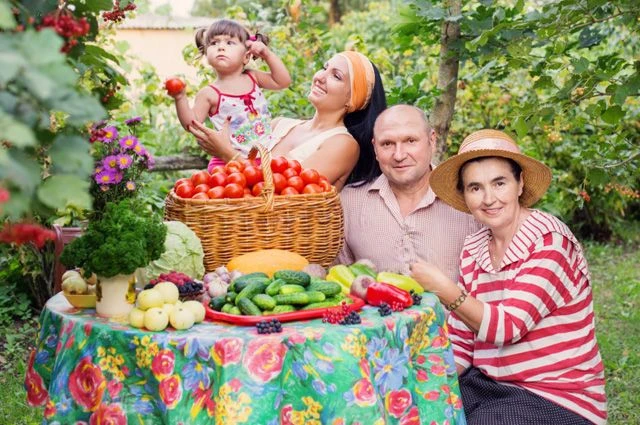 Приближается II городской фестиваль дачной культуры "Дача FEST", который состоится 12 с...