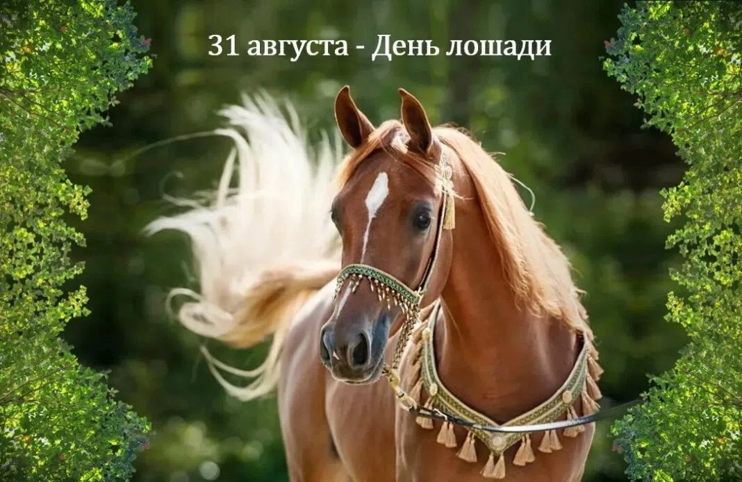 31 августа - День лошади.