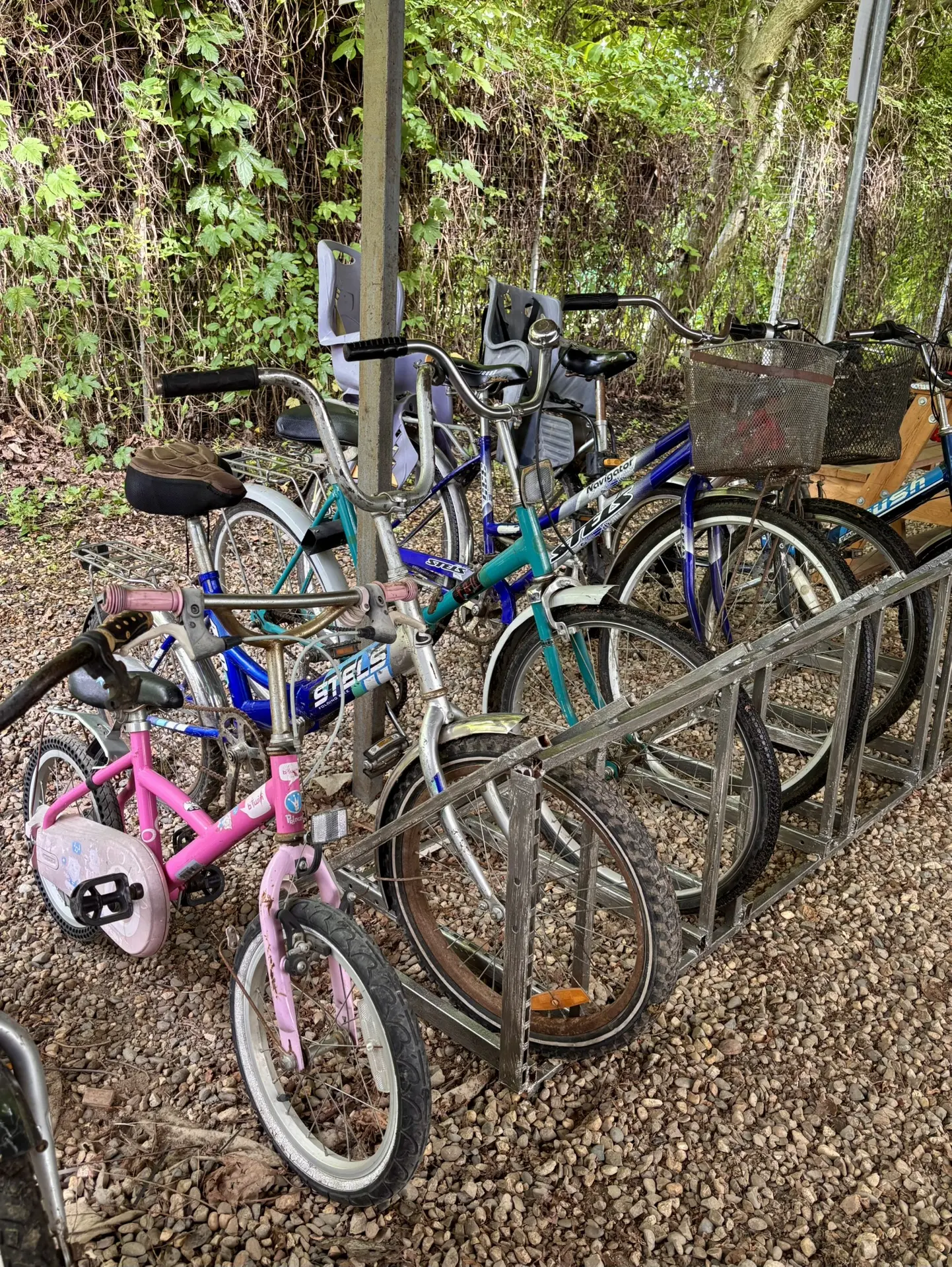 Друзья, у нас есть велосипеды 🚲 для прогулок по селу (рядом с нами расположены поля с ...