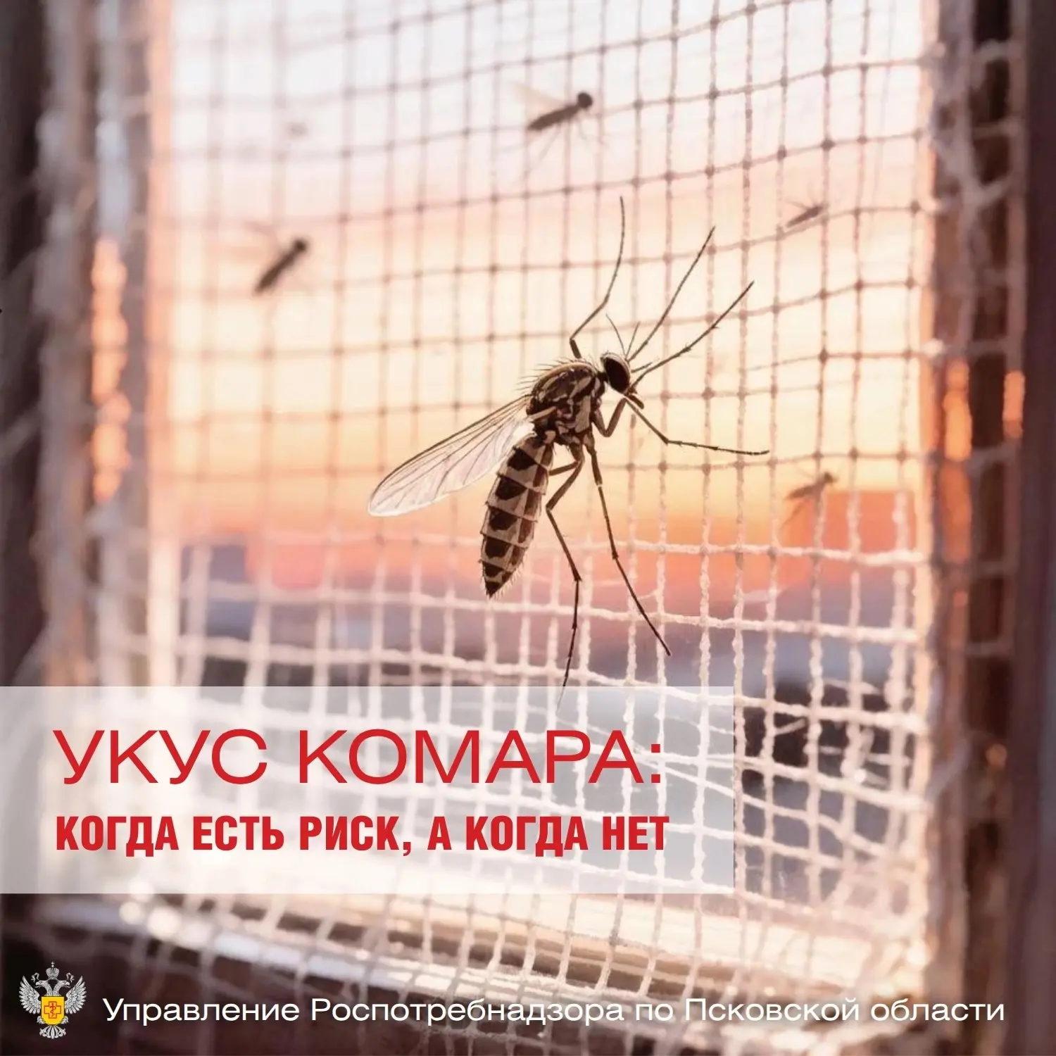 К сожалению, лето сложно представить без комаров🦟. Но один укус может закончиться по-р...