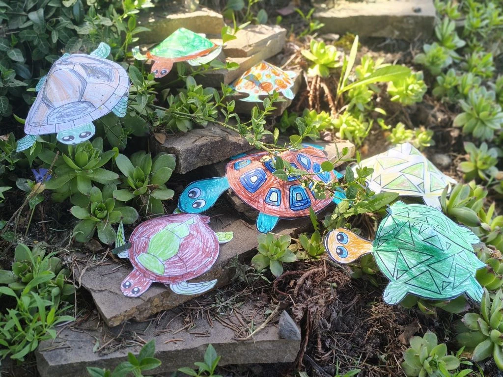 🐢«Всемирный день черепахи»