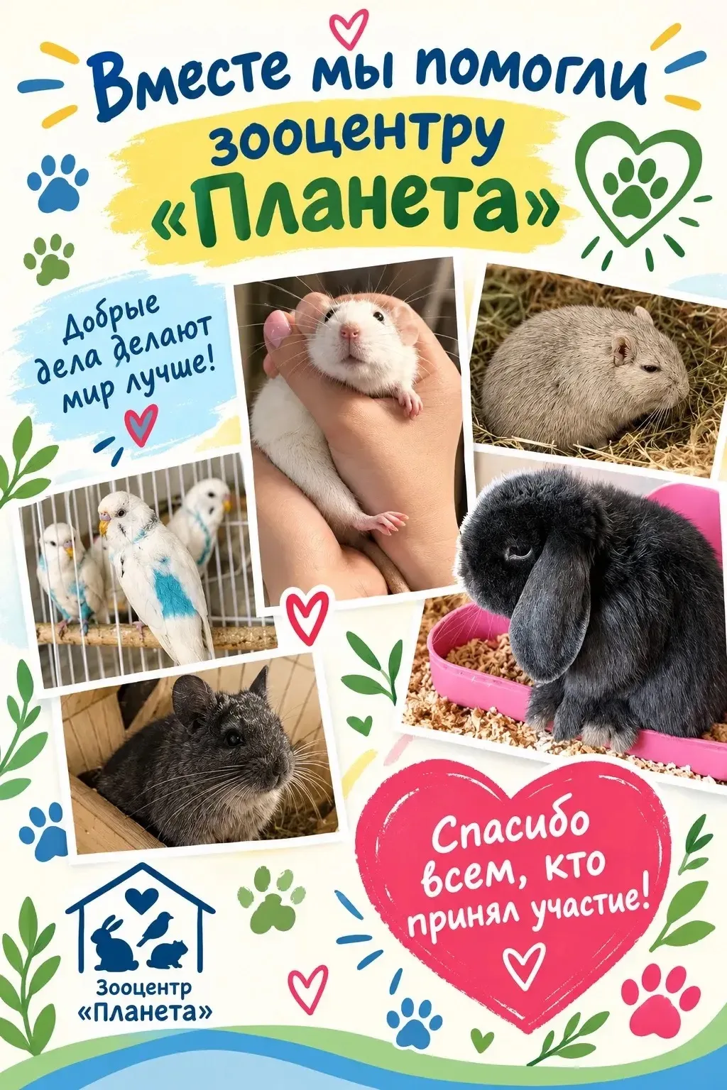Доброта объединяет: итоги акции «Рука друга»! 🐾❤️