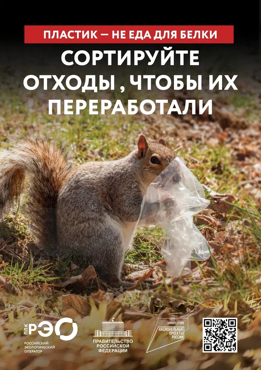 🐾♻️ Почему важно сортировать мусор?