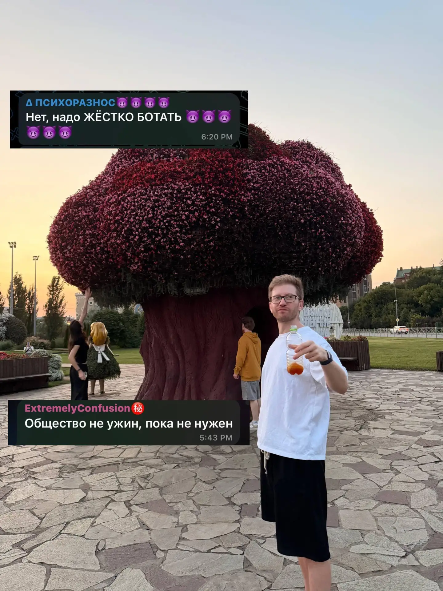 тут уже 2 лагеря образовалось: ботать или чилить все же?