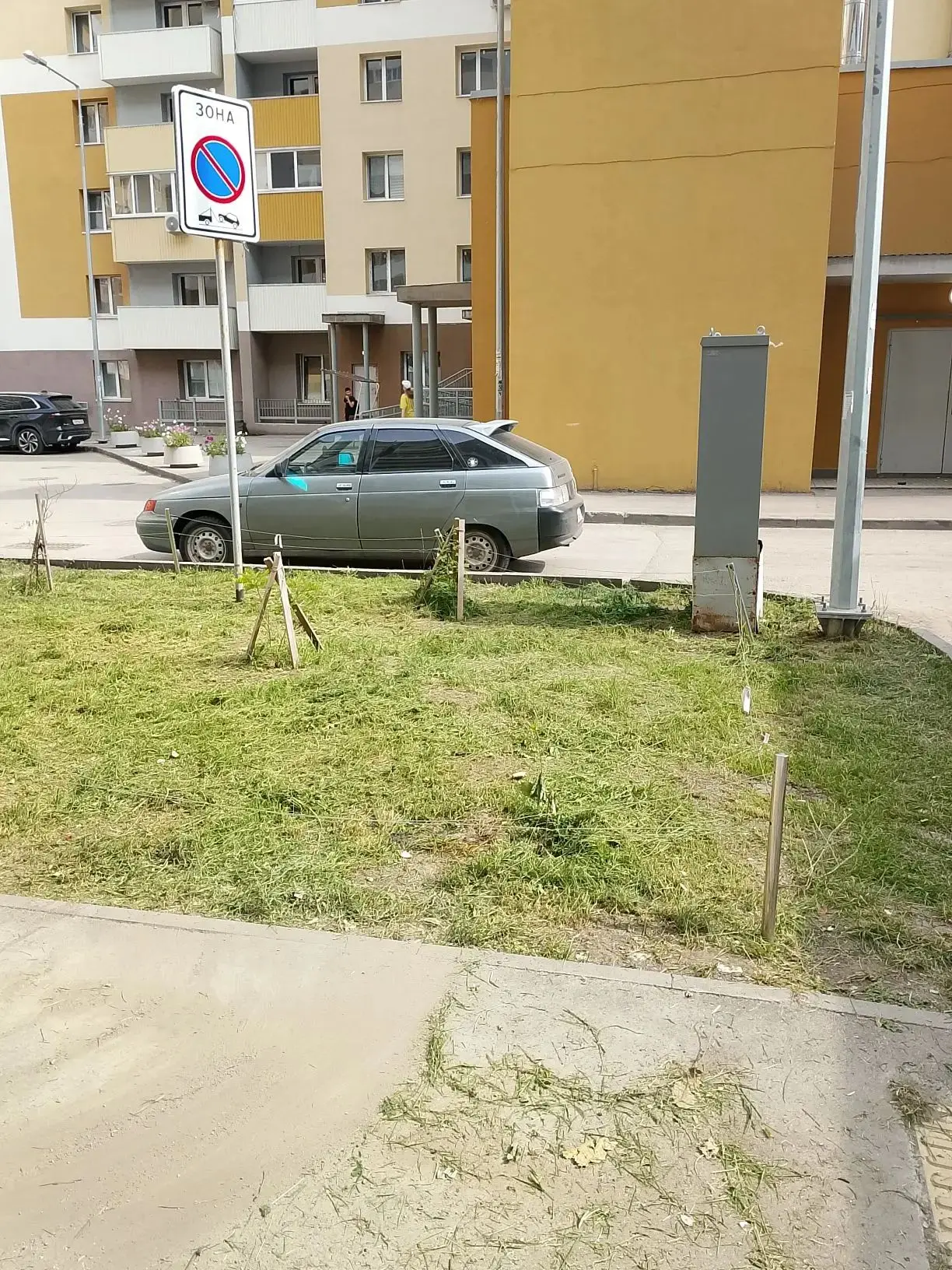 Покос газонов МКД 6а и 7а тер.18км Московского шоссе