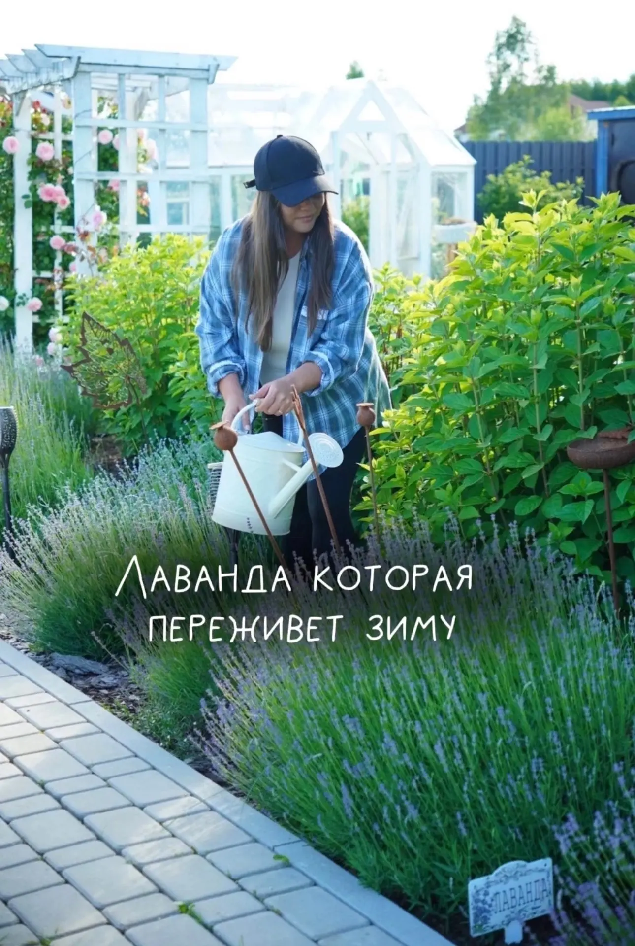 Лаванда — это, конечно, мечта.
Смотришь на эти фиолетовые кустики и сразу хочется маленький кусочек 