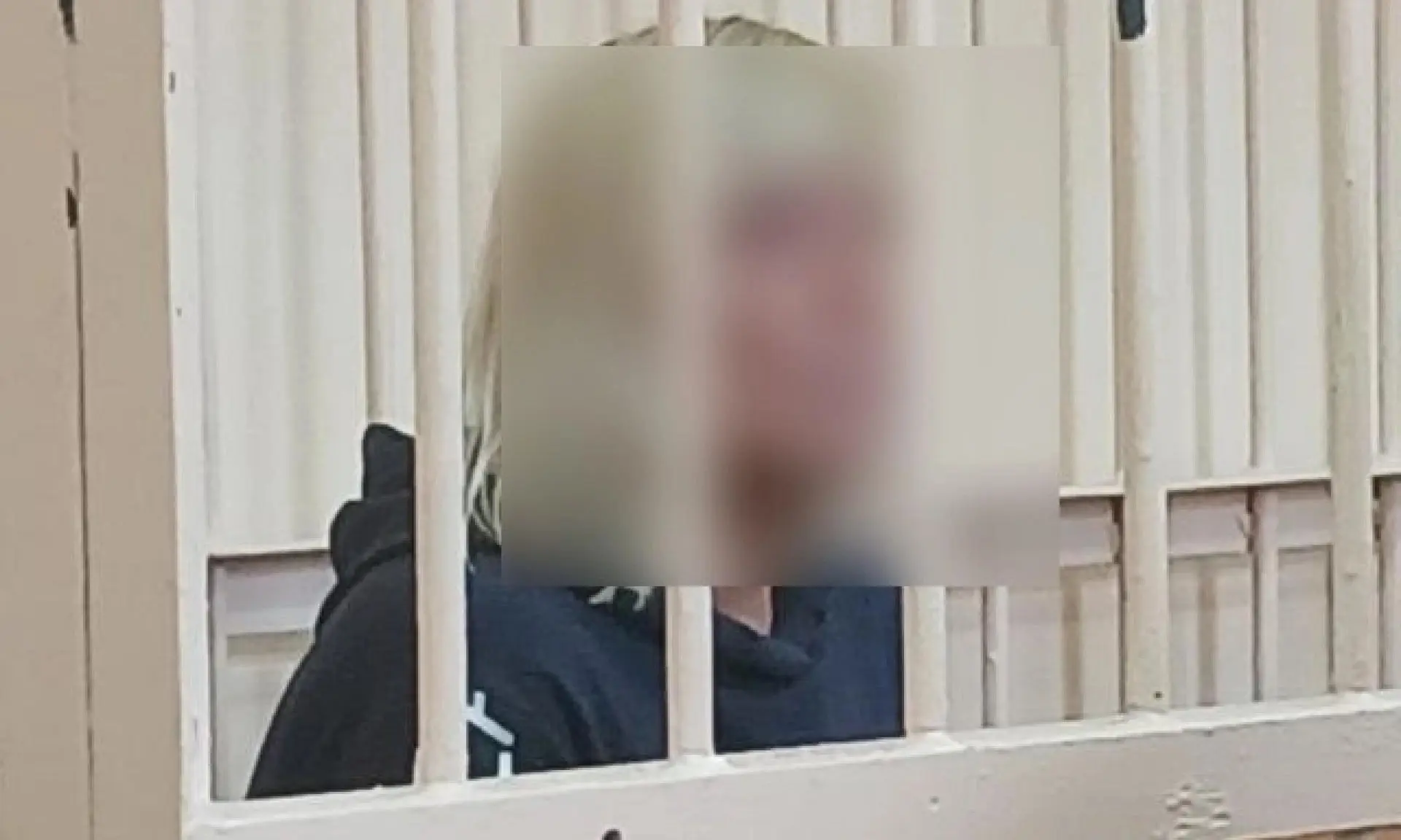 В Архангельске суд избрал меру пресечения подозреваемой в осквернении воинского мемориала.

Женщине 