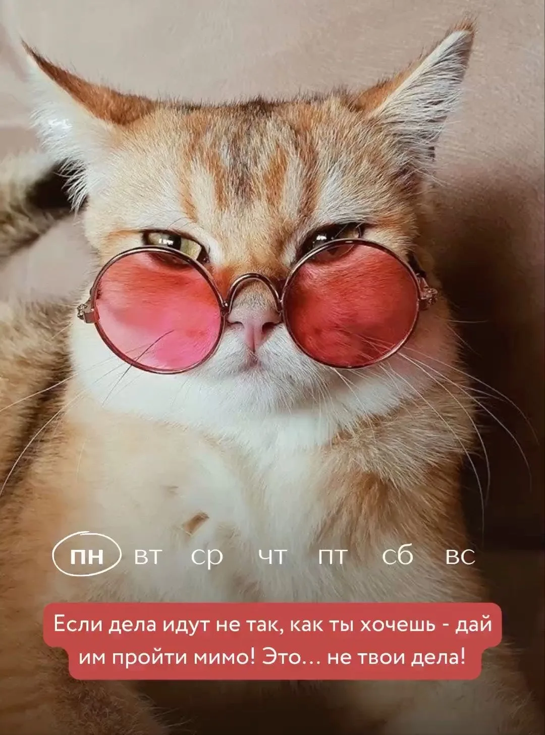 Здравствуйте всем! Поздравляю началом новой недели всех, кто на работе. Всех, кто еще на шашлыках, н