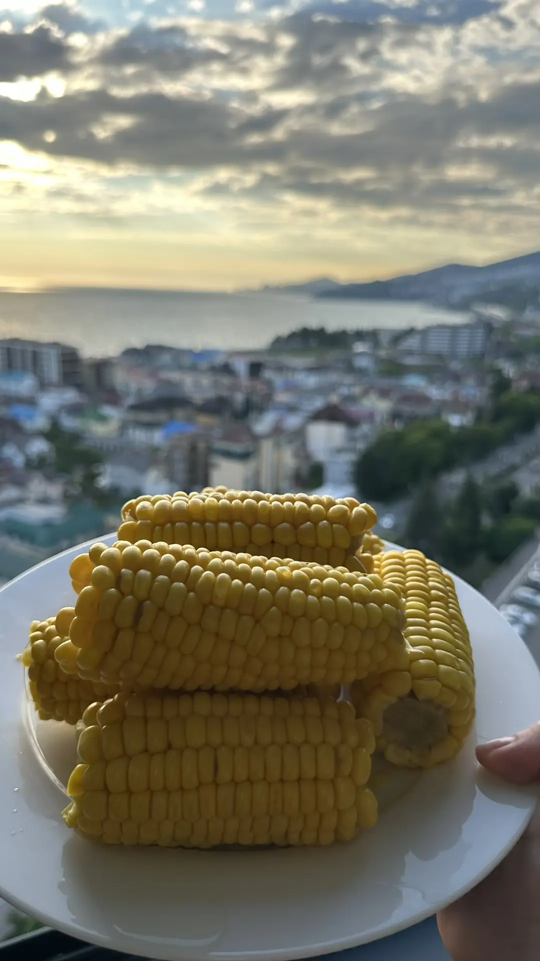 Наша первая кукуруза 🌽 в этом году 🤤