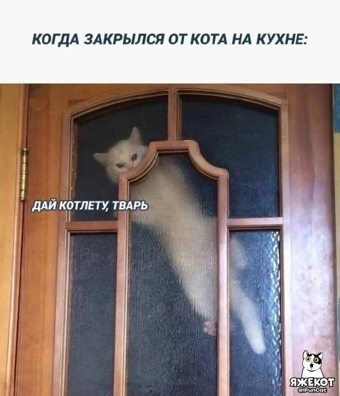 🐾 ЯЖЕКОТ